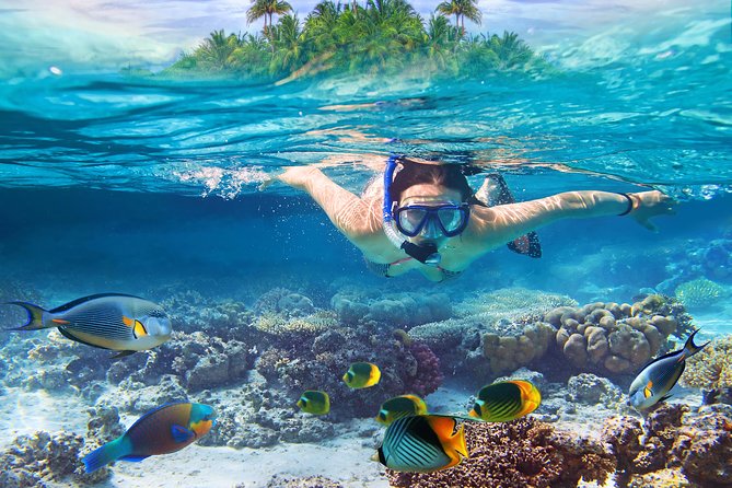 Snorkeling-Pristine-Reefs