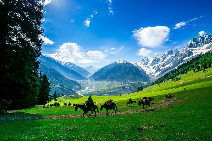 sonamarg-Tour-riding